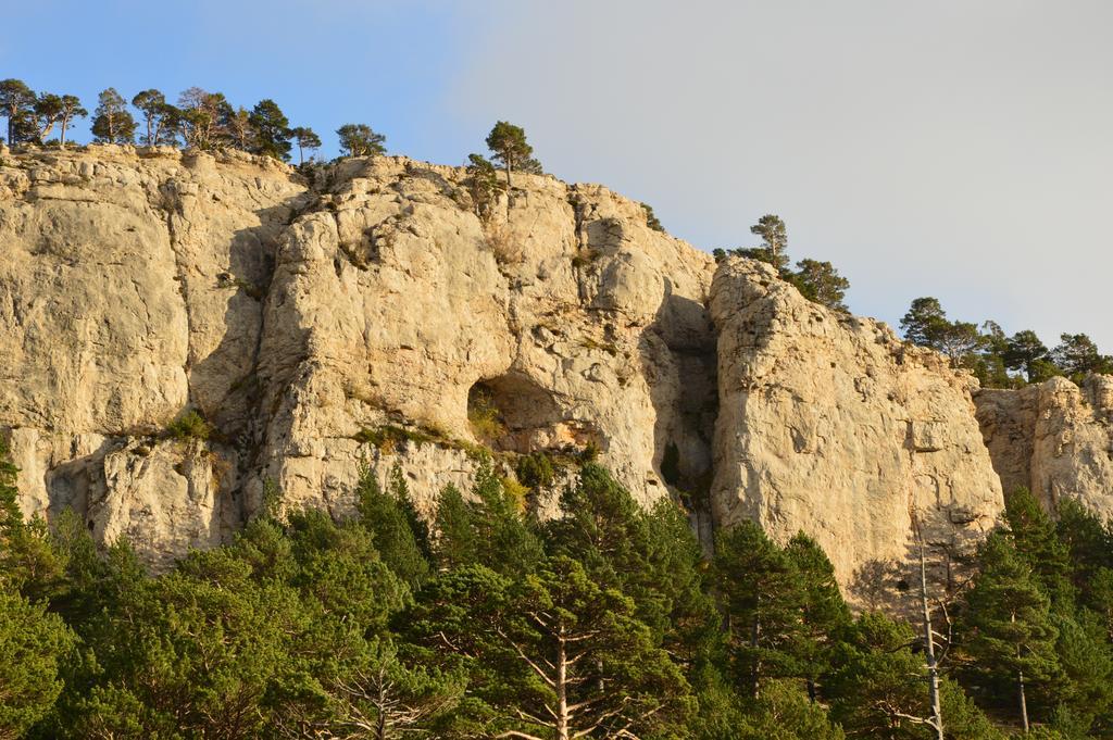 Hostal De Montana La Casa Grande Nogueruelas Екстериор снимка